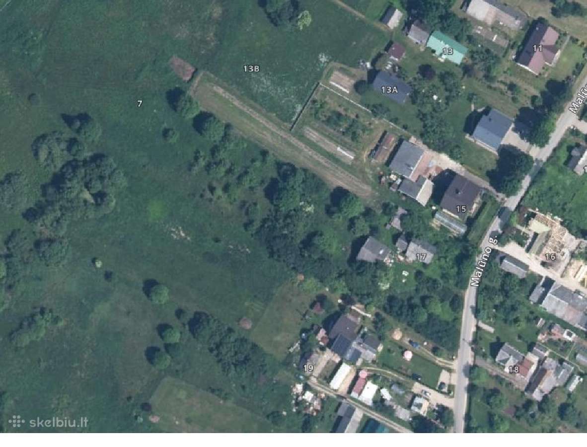 Dovanoju medieną išsivežimui - nuotraukos Nr. 10