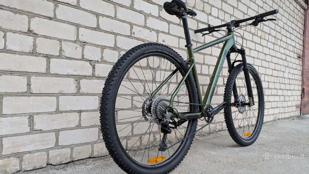 Companion 29er, 1x11sp - nuotraukos Nr. 2