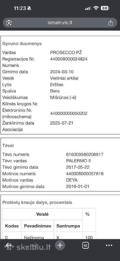 Parduodamas 2,5metu eržiliukas - nuotraukos Nr. 4