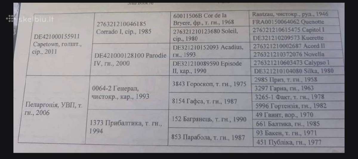 Parduodamas 2,5metu eržiliukas - nuotraukos Nr. 6