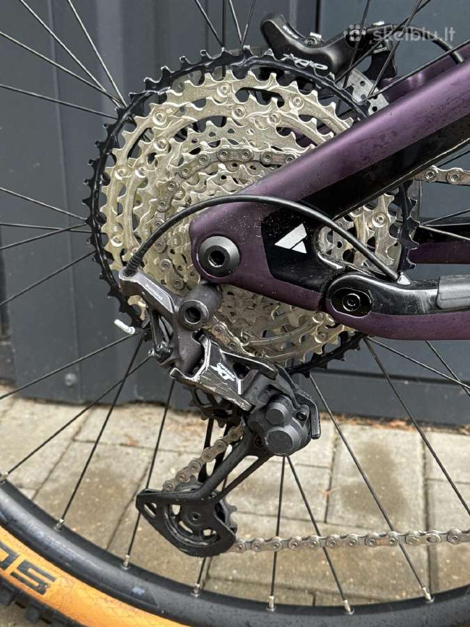 Bulls Wildcreed RS 29 su dokumentais - nuotraukos Nr. 8