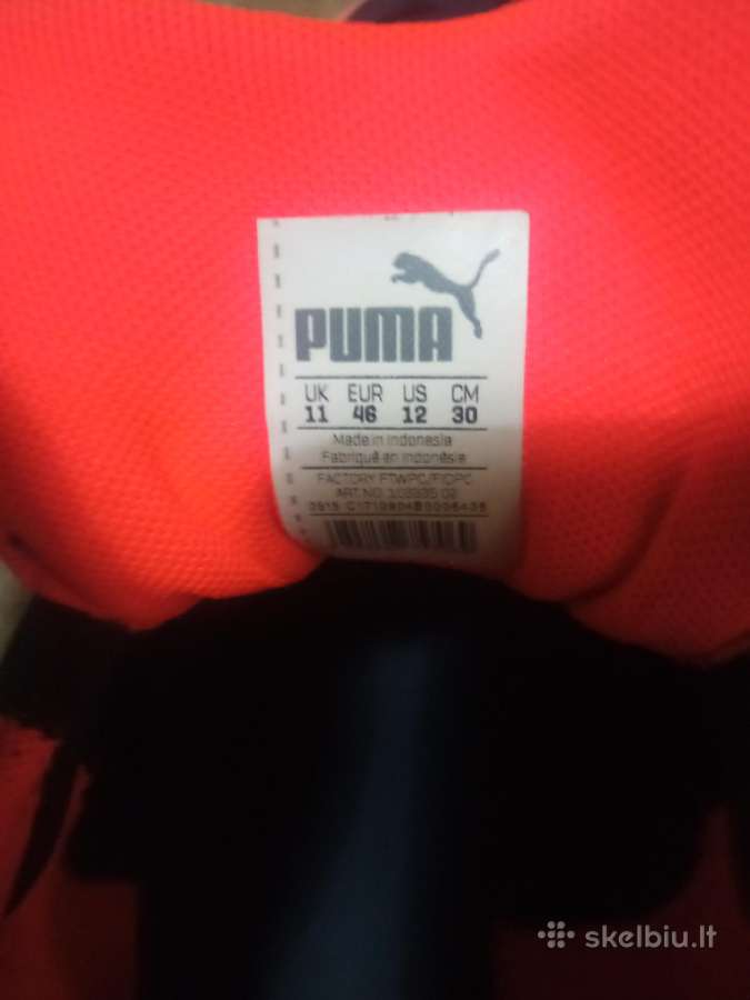 Puma evospeed 48 - nuotraukos Nr. 5