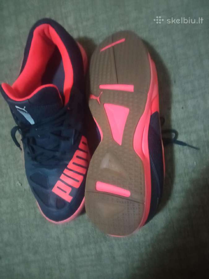 Puma evospeed 48 - nuotraukos Nr. 4