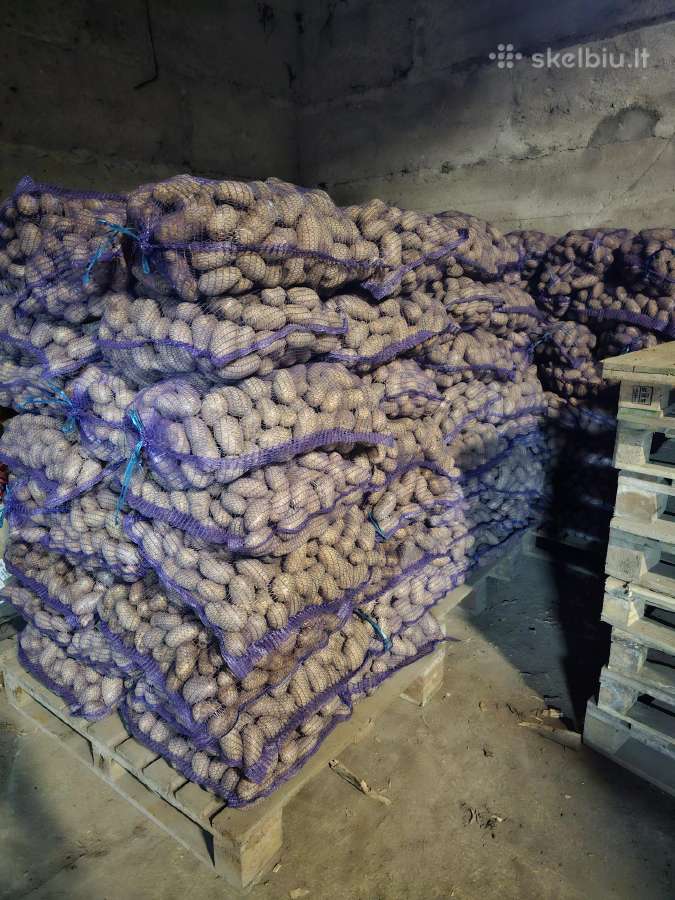 Parduodu maistines bulves - nuotraukos Nr. 8