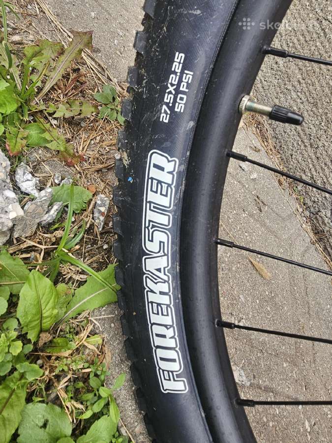 Norco s dydzio - nuotraukos Nr. 11