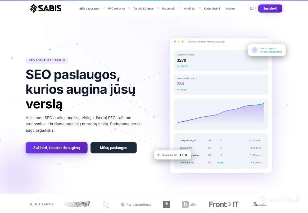 Parduodamas Seo agentūros verslas su įmone (MB) - nuotraukos Nr. 2