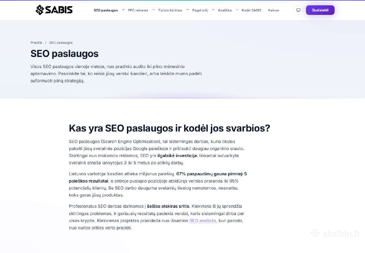 Parduodamas Seo agentūros verslas su įmone (MB) - nuotraukos Nr. 3