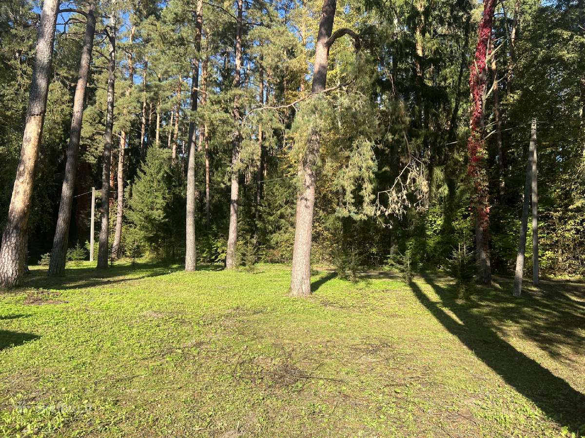 Namų valdos sklypas Birštone - nuotraukos Nr. 2