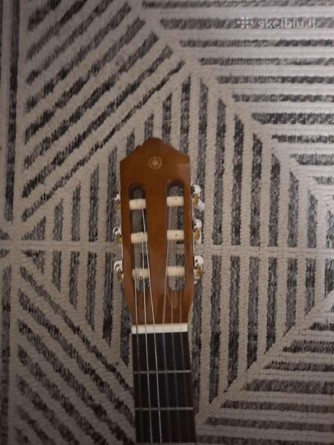 Gitara - nuotraukos Nr. 3