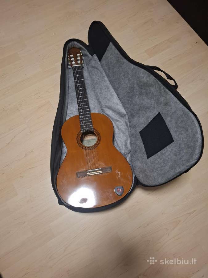 Gitara - nuotraukos Nr. 6