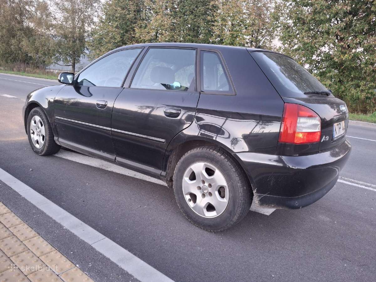 Audi a3 1.9pd - nuotraukos Nr. 12