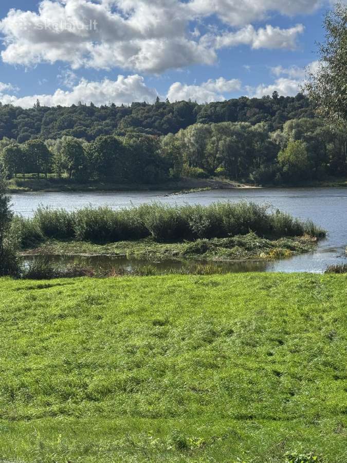 Apleistų sklypų tvarkymas visoje Lietuvoje - nuotraukos Nr. 2