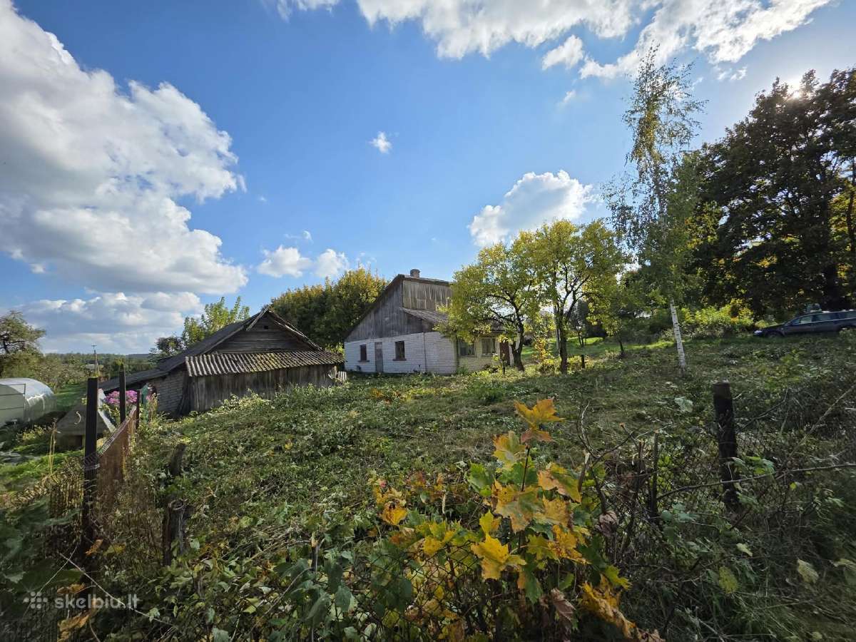 Apleistų sklypų tvarkymas visoje Lietuvoje - nuotraukos Nr. 11