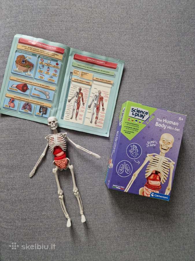 Mokomasis žaislas, Skeletas dėlionė - nuotraukos Nr. 2