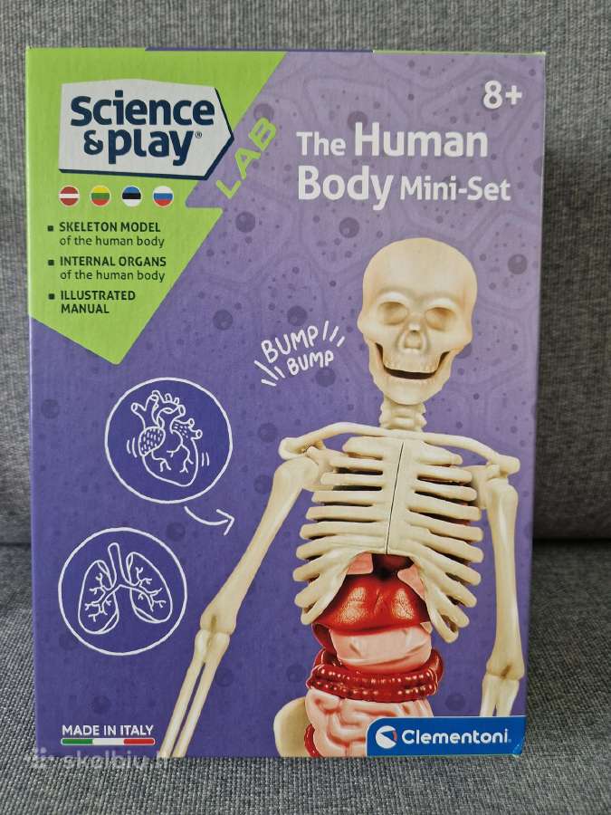 Mokomasis žaislas, Skeletas dėlionė - nuotraukos Nr. 3