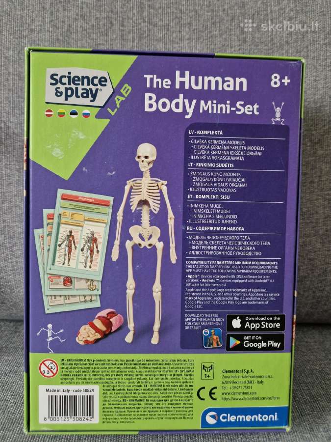 Mokomasis žaislas, Skeletas dėlionė - nuotraukos Nr. 4