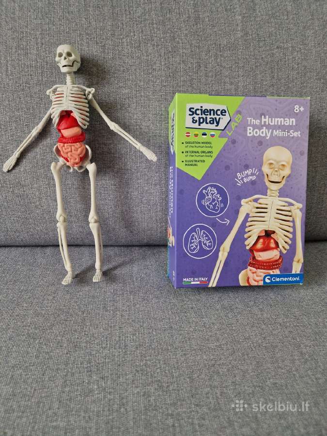 Mokomasis žaislas, Skeletas dėlionė - nuotraukos Nr. 5