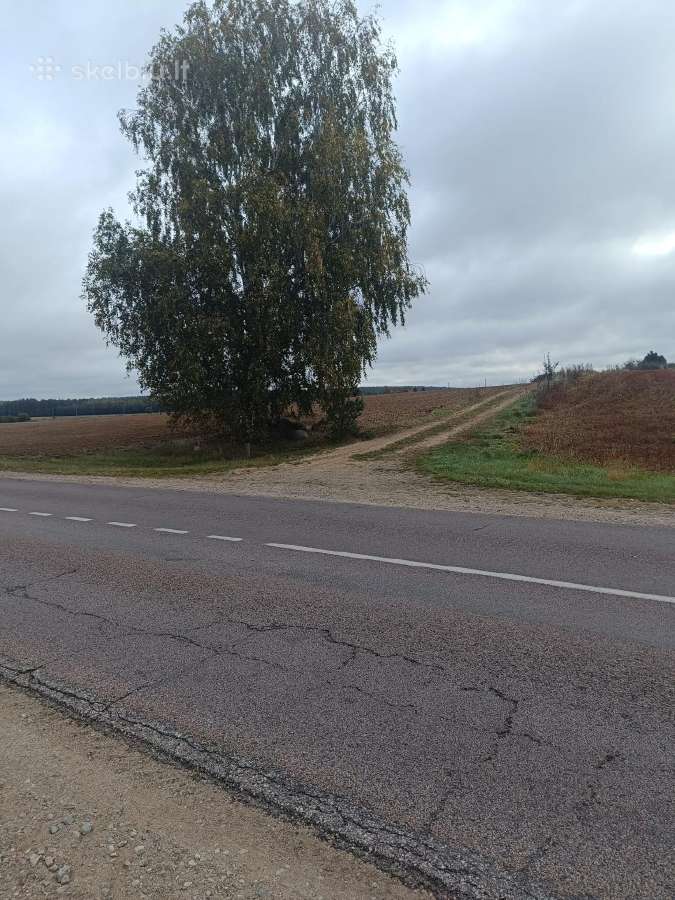 Parduodami 4 sklypai Šalčininkų rajone - nuotraukos Nr. 3