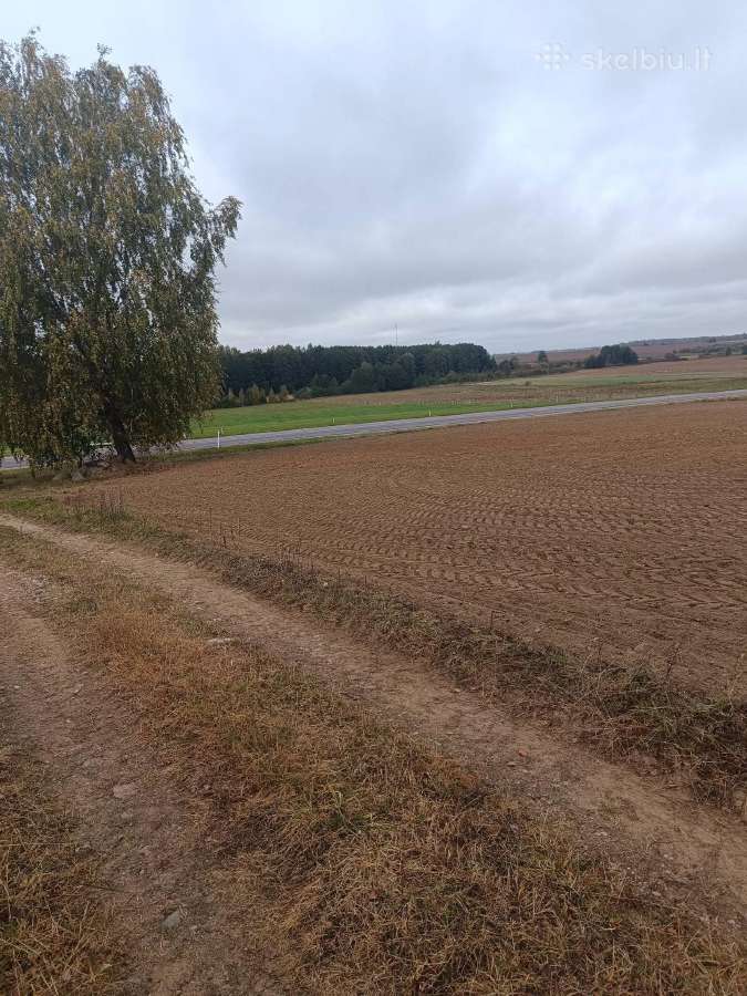 Parduodami 4 sklypai Šalčininkų rajone - nuotraukos Nr. 5