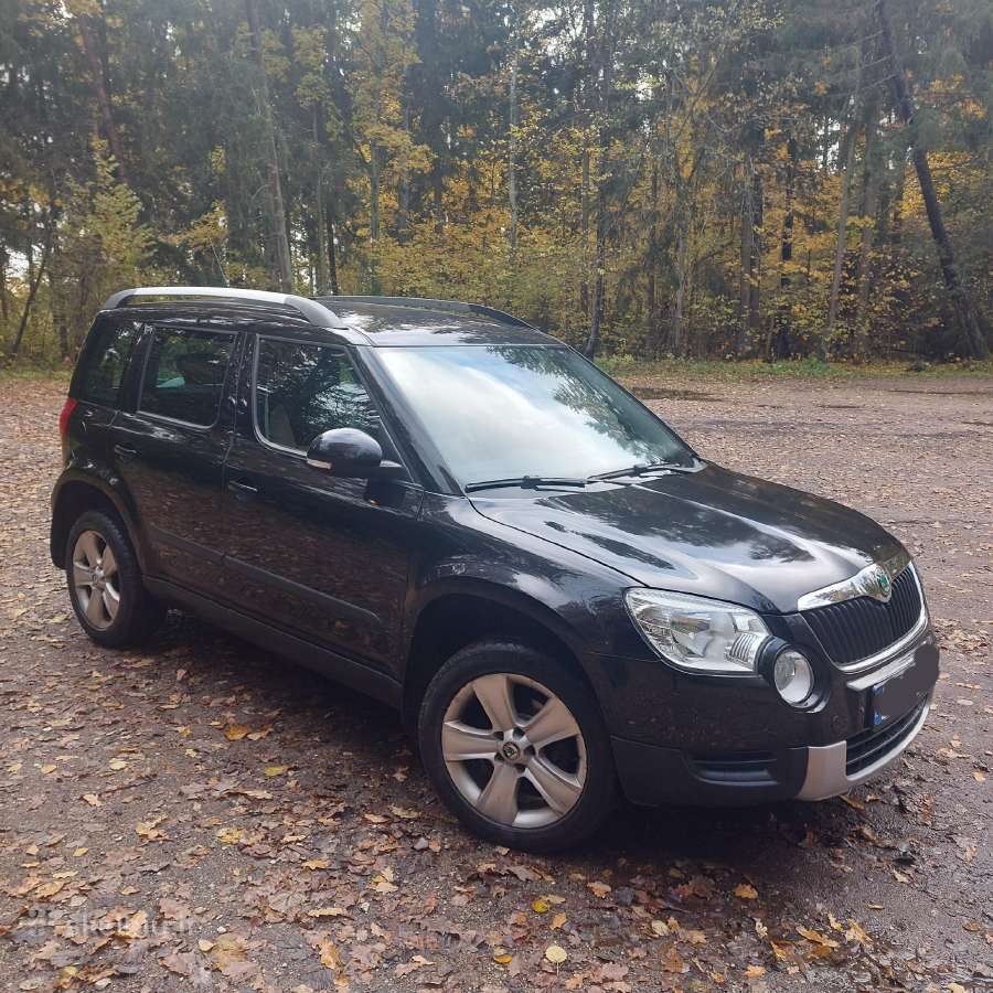 Patogus automobilis - nuotraukos Nr. 4