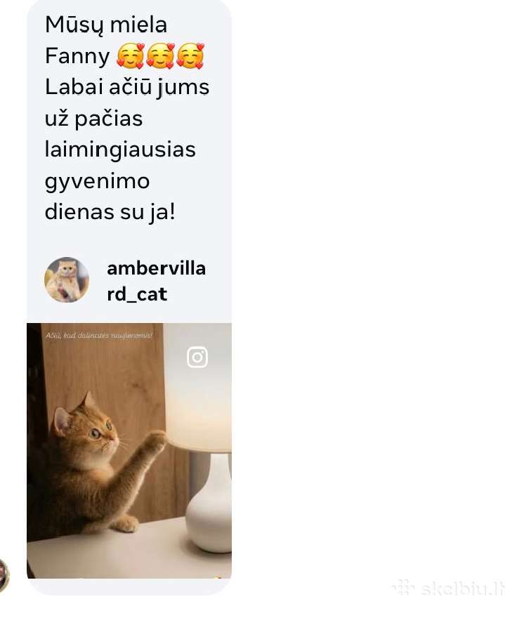 Čia ir dabar! Britukai iš Amber Villard. - nuotraukos Nr. 15