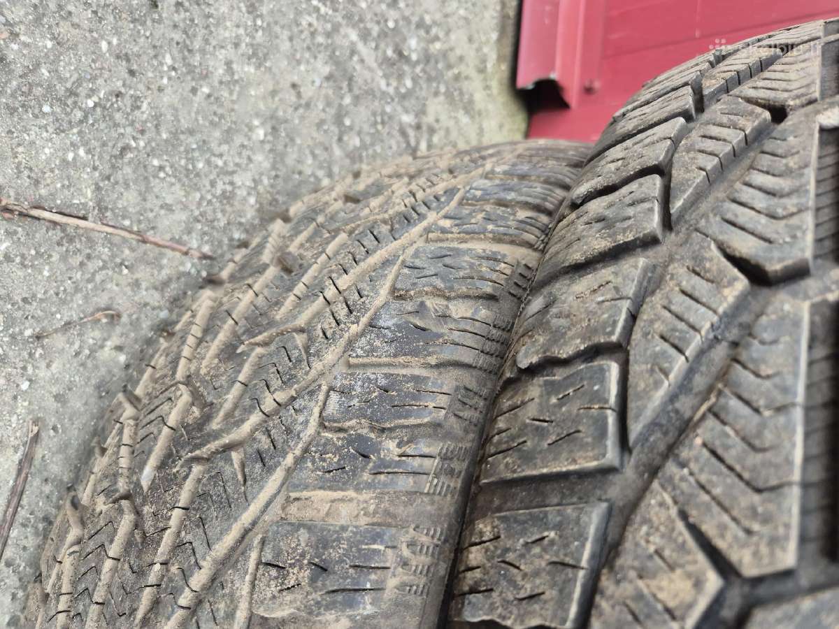 Naudotos 205/55r16 94h XL padangos - nuotraukos Nr. 4