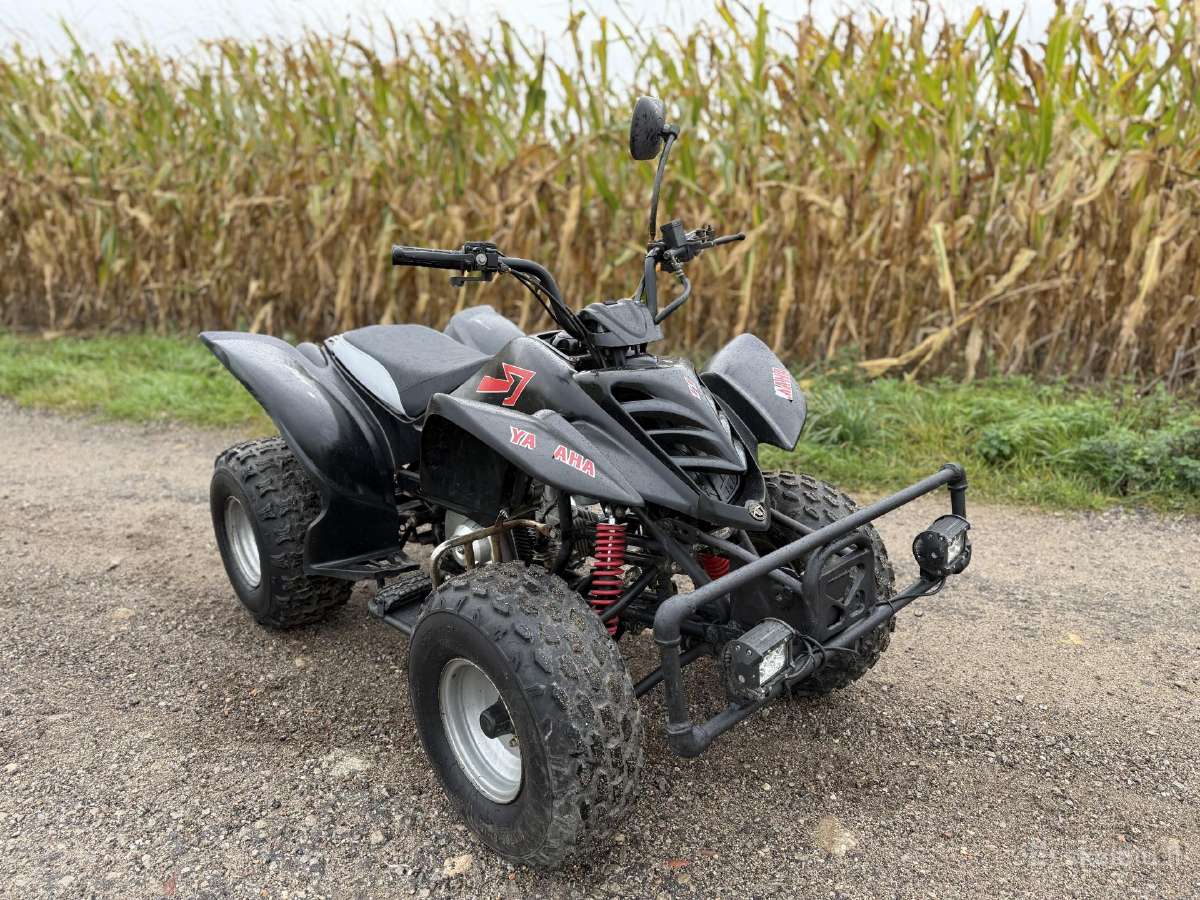 Atv 110cc Automatas - nuotraukos Nr. 2