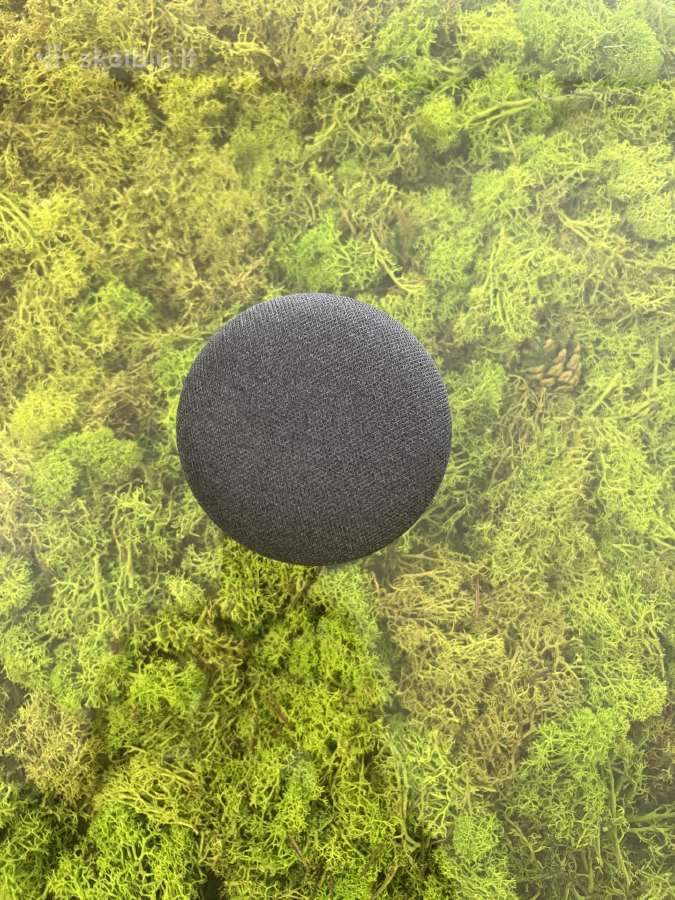 Google Home Mini 1st Gen Smart Speaker - nuotraukos Nr. 2