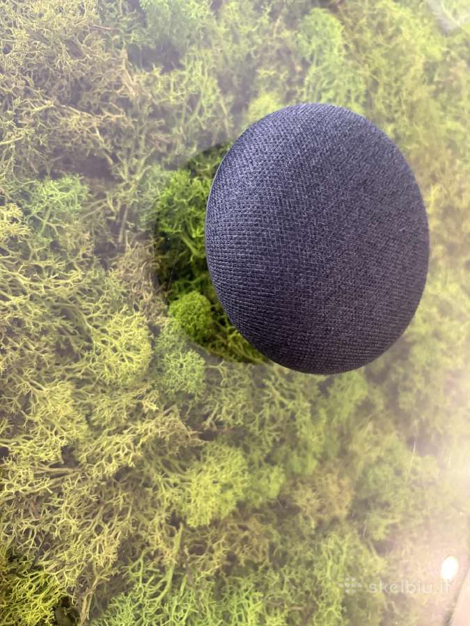 Google Home Mini 1st Gen Smart Speaker - nuotraukos Nr. 6