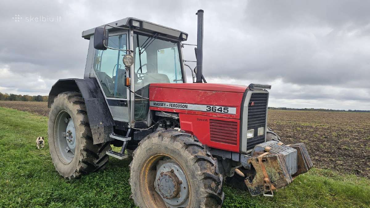 Massey Ferguson 3645 - nuotraukos Nr. 5