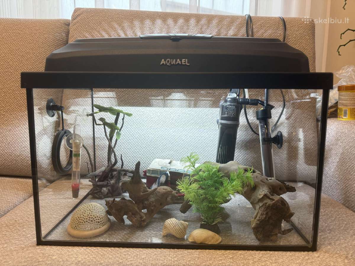 Akvariumas 25 l - nuotraukos Nr. 2
