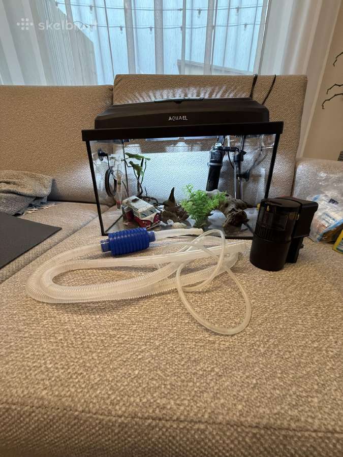 Akvariumas 25 l - nuotraukos Nr. 8
