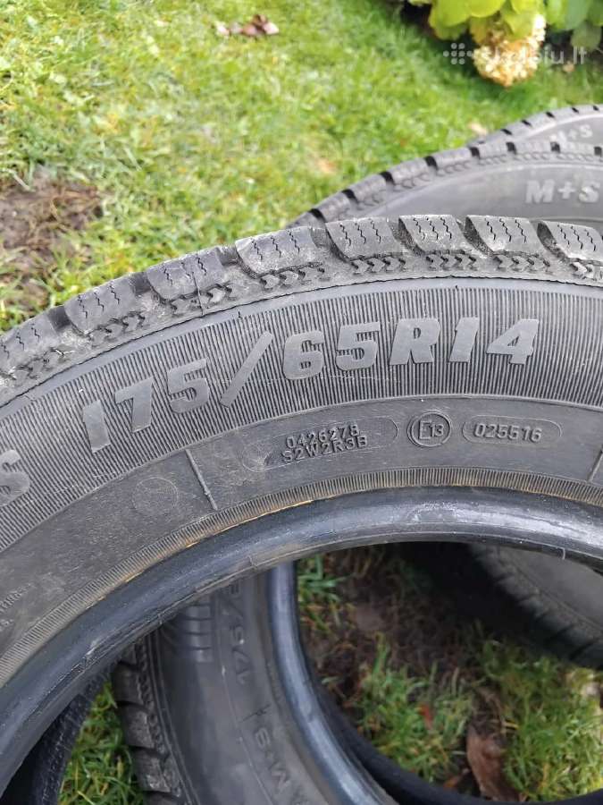 Sava Eskimo S3+ 175/65 R14 4vnt - nuotraukos Nr. 4