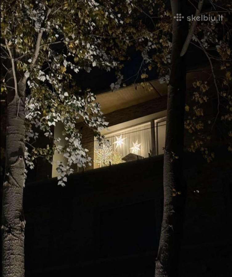 Zara Home dekoratyvinis LED medelis - nuotraukos Nr. 3
