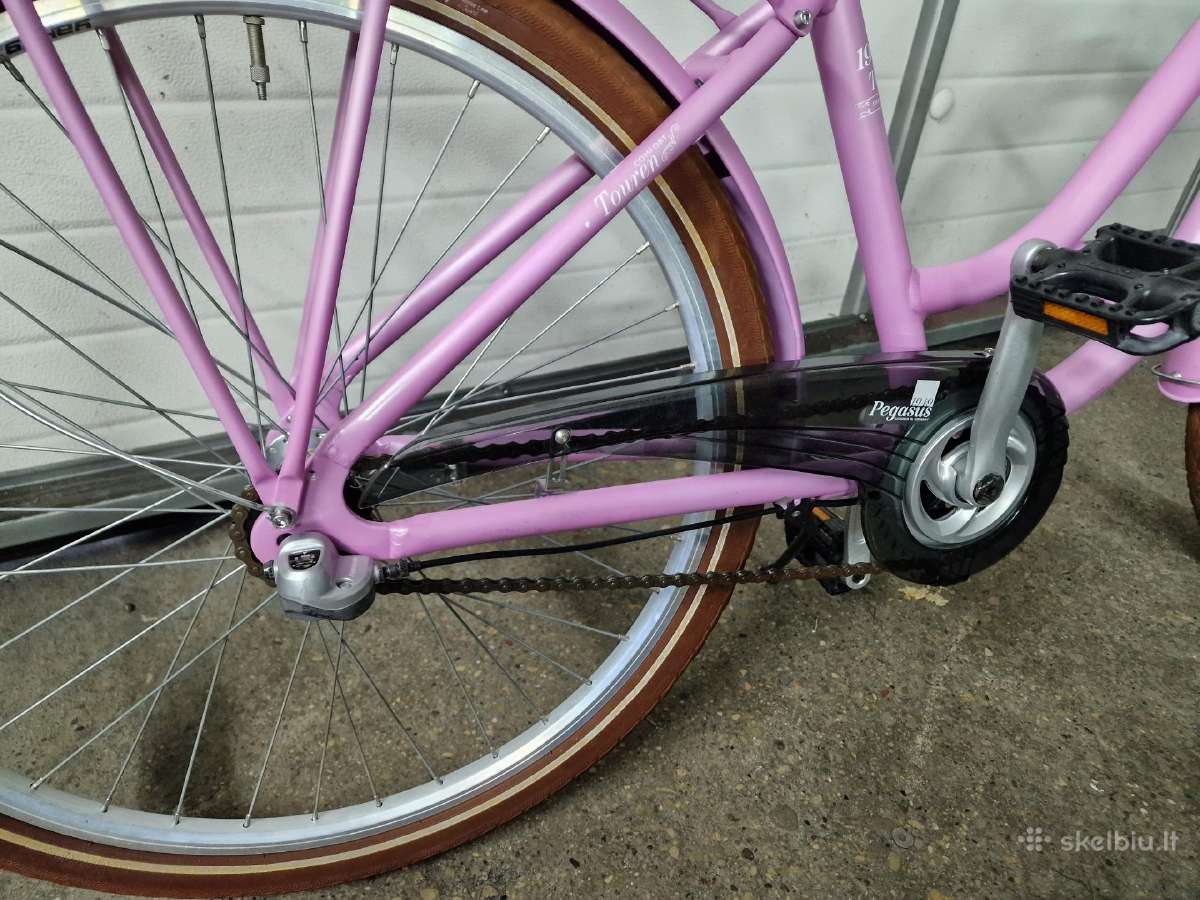 Pegasus 26er - nuotraukos Nr. 2
