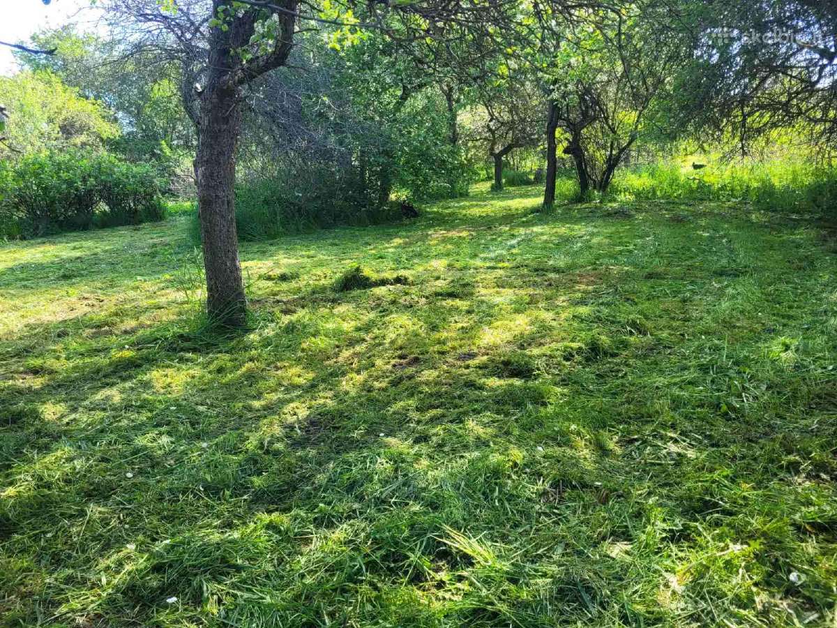 20 aru sklypas Siauliuose medelyne. - nuotraukos Nr. 4