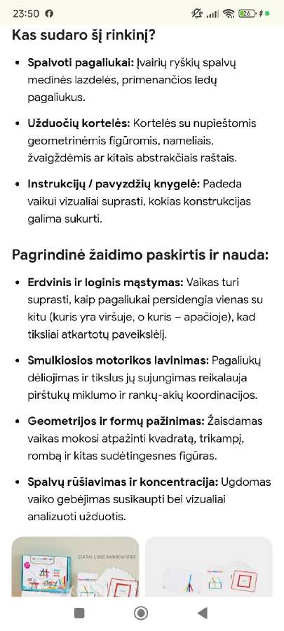 Lavinimo žaidimai - nuotraukos Nr. 3