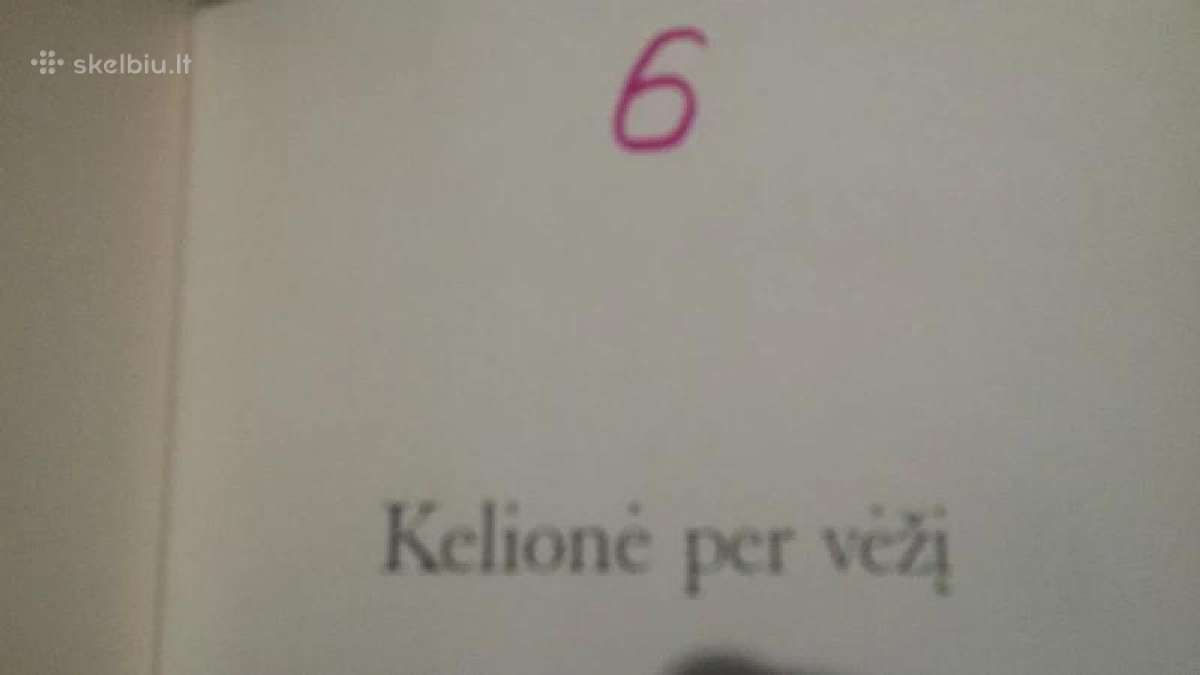 Jeremy R.geffen knyga "Kelione per vezi" - nuotraukos Nr. 17