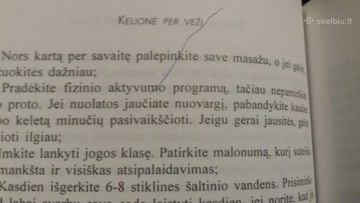Jeremy R.geffen knyga "Kelione per vezi" - nuotraukos Nr. 14