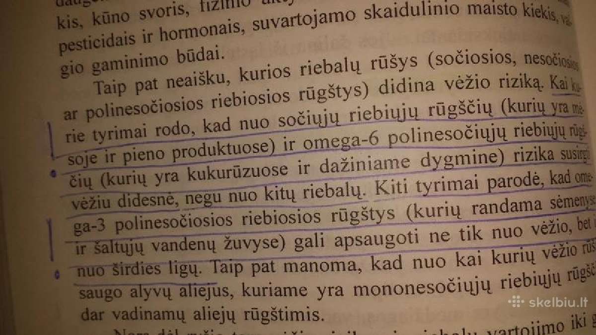 Jeremy R.geffen knyga "Kelione per vezi" - nuotraukos Nr. 8