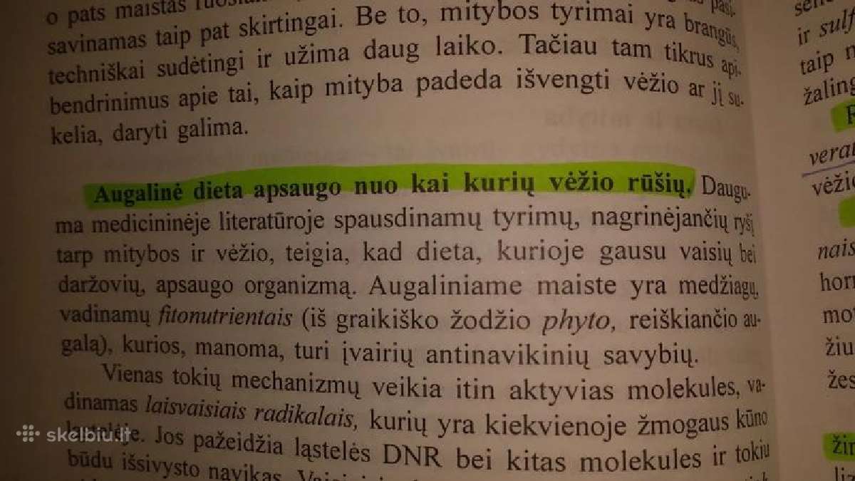 Jeremy R.geffen knyga "Kelione per vezi" - nuotraukos Nr. 6