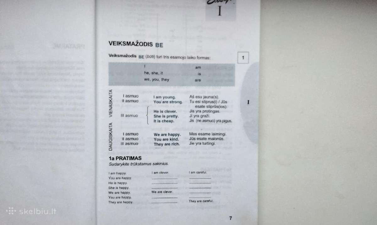 A. Pikver. Grammar is easy! - nuotraukos Nr. 4