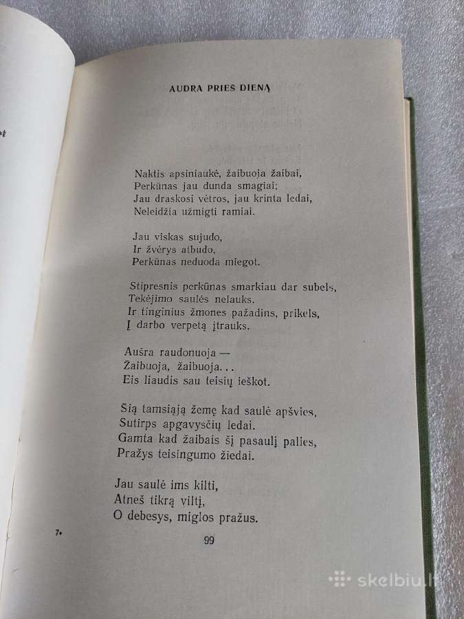 Nelūdėk, berželi - nuotraukos Nr. 4