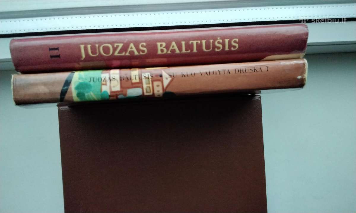 J. Baltušis. Su kuo valgyta druska. 1,2 dalys - nuotraukos Nr. 22