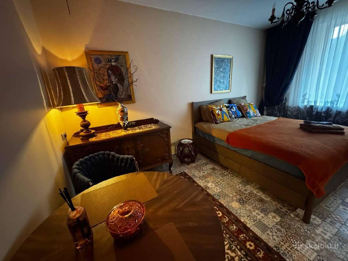 Parduodamas rami studijos butas, 29 m² - nuotraukos Nr. 3