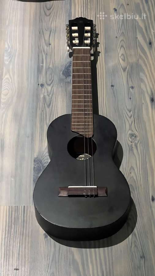 Gitara - nuotraukos Nr. 2