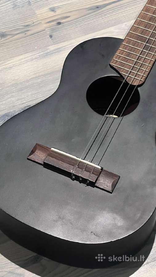 Gitara - nuotraukos Nr. 4