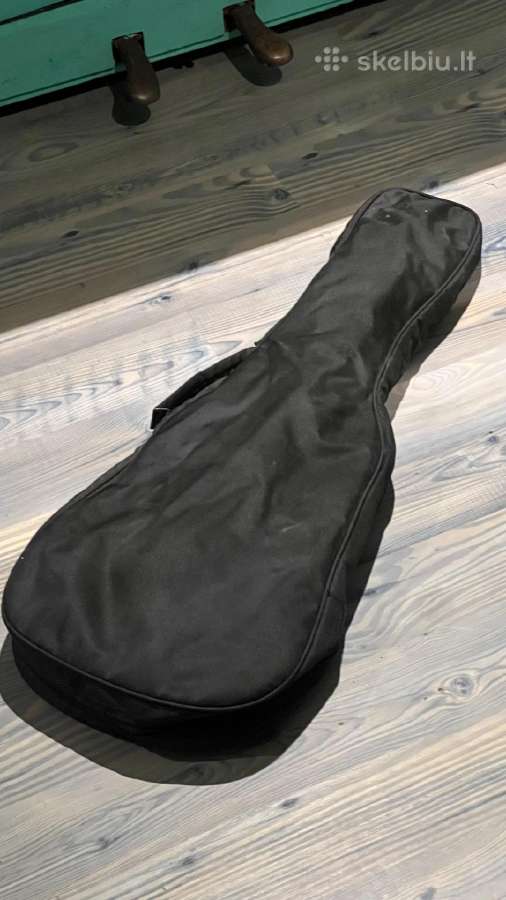Gitara - nuotraukos Nr. 6