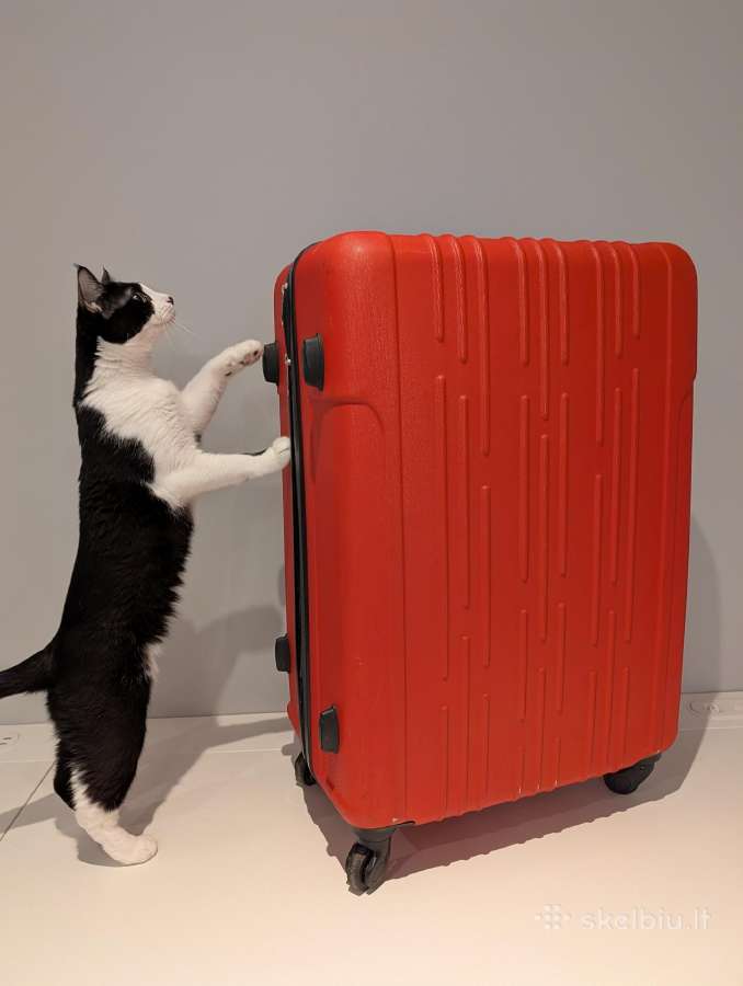 Suitcase / Lagaminas, 64 x 45 x 30 cm - nuotraukos Nr. 7