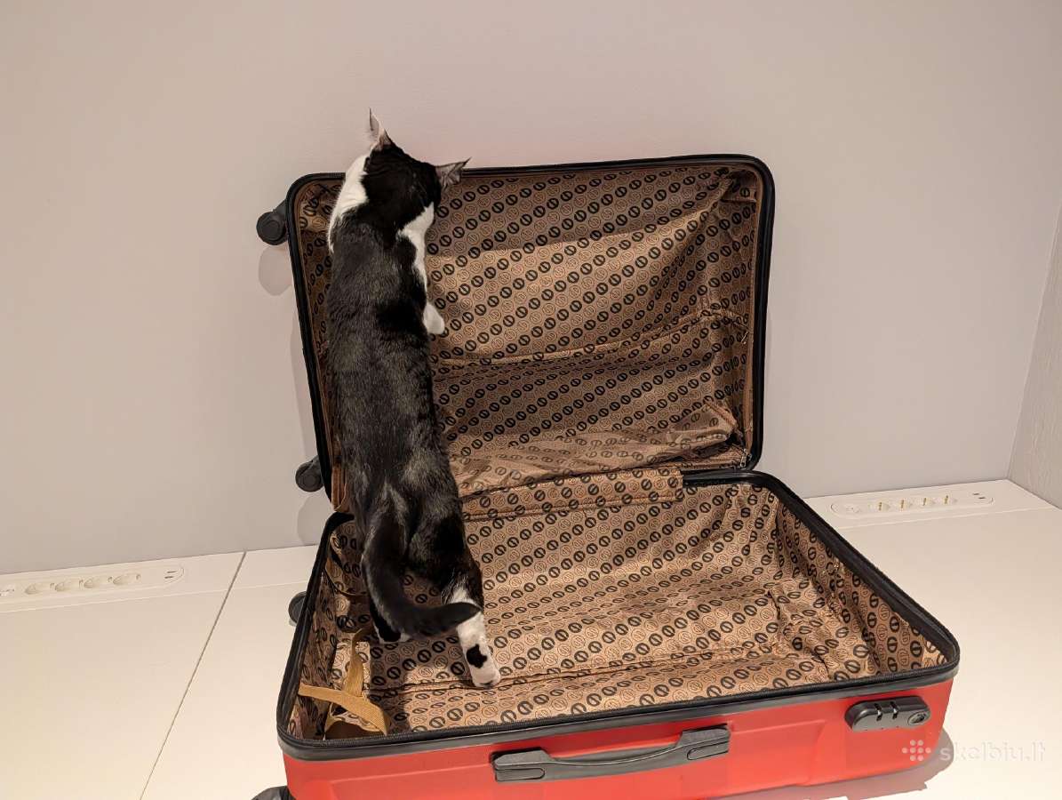 Suitcase / Lagaminas, 64 x 45 x 30 cm - nuotraukos Nr. 13